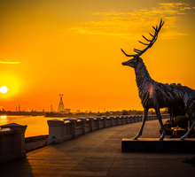 прием групп в нижнем новгороде